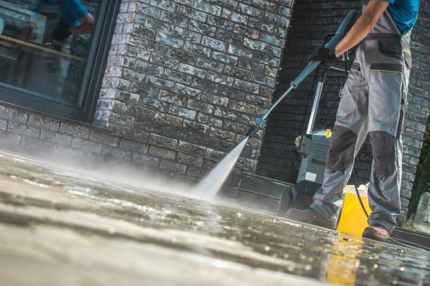 Best Solar Panel Cleaning  in Merrillville, IN