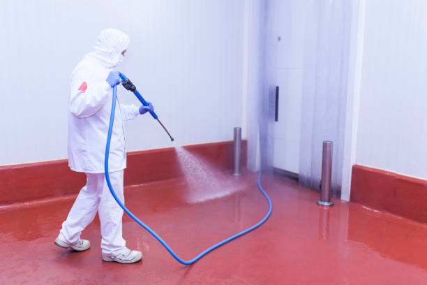 Best Rust Removal  in Merrillville, IN
